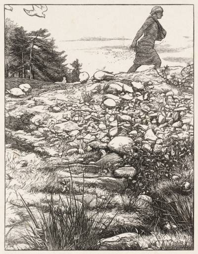 Parable Sower